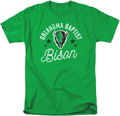 Vista 31 de Collegiate Distressed Mascot Unisex Adult T Shirt Collection 3 Universidad de Adelphi