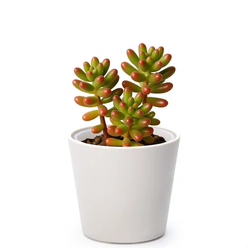 Vista 58 de Phoenix Vine Macetero de plástico verde oliva de 4.5 pulgadas con maceta transparente, cubierta decorativa ligera con maceta interior transparente
