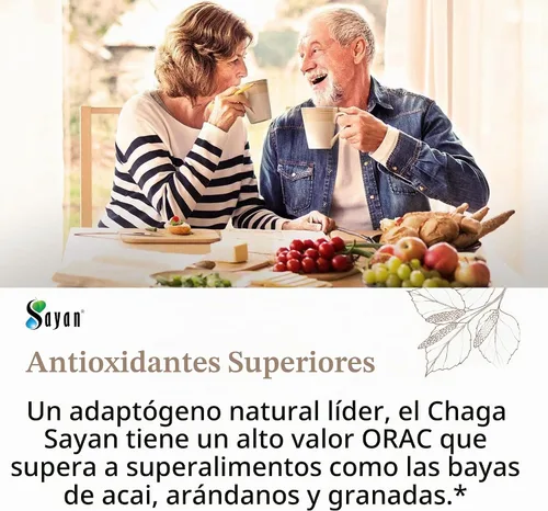 Vista 9 de Polvo extracto hongo chaga siberiano. Súper antioxidante, ayuda al sistema inmune., 2 onza, 1