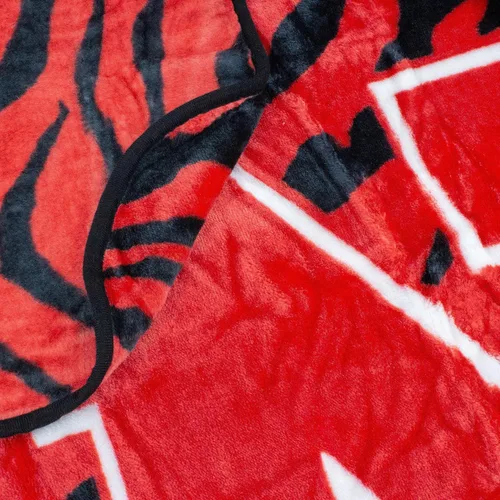 Vista 10 de College Covers Arkansas Razorbacks Raschel Manta de Tiro, 60 pulgadas por 50 pulgadas