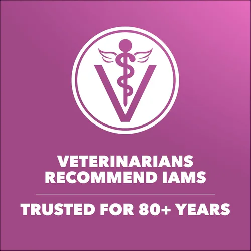 Vista 6 de IAMS Proactive Health Healthy Aging - Comida seca para perros con pollo y granos integrales, bolsa de 5 libras