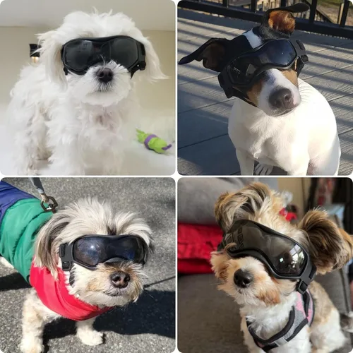 Vista 2 de Gafas para perros de razas pequeñas, lentes de sol para perros pequeños con protección UV, gafas para mascotas al aire libre, para equitación Negro