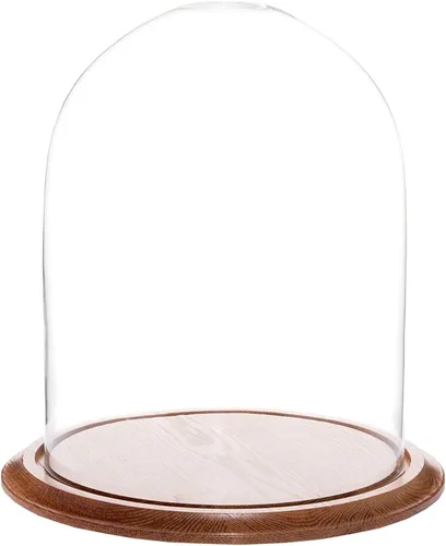 Vista 6 de Plymor 11.75" x 15" Pantalla de cristal Cúpula Cloche (base de chapa de madera negra)
