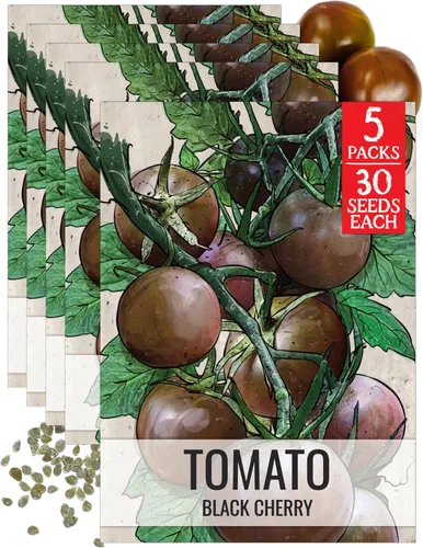 Vista 13 de Seed Needs Semillas de tomate para plantar tomates indeterminados de carne de res verdaderos, reliquia sin OMG y semillas de vegetales sin tratar