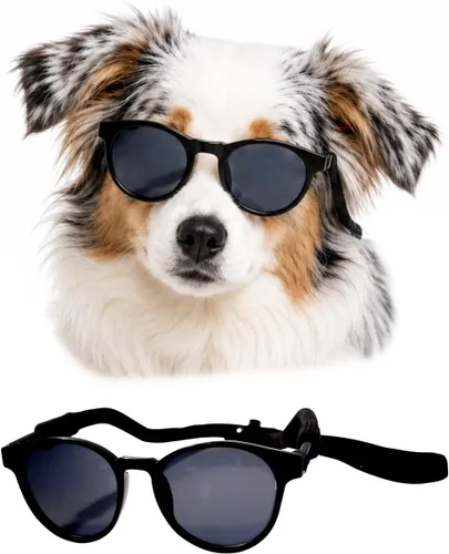 Vista 7 de G006 - Lentes de sol para disfraz de perro mascota de los años 80, para sesión de fotos, razas medianas de 20 a 40 libras