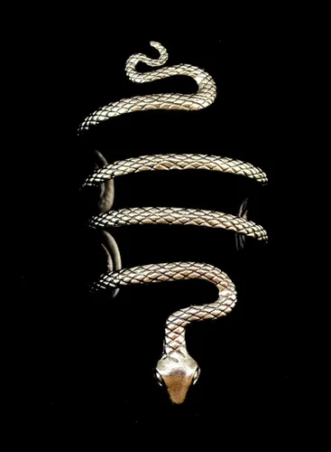 Vista 3 de idealway Pulsera abierta vintage punk de plata con serpiente
