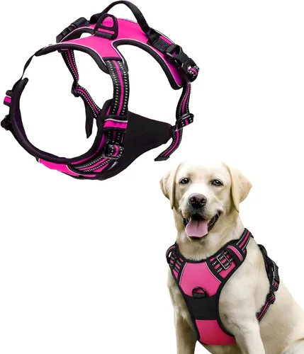 Vista 6 de Arnés para perro, arnés sin tirones para mascotas con 2 clips para correa, chaleco acolchado suave ajustable para perro, chaleco Oxford reflectante