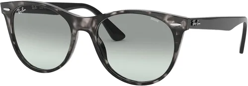 Vista 2 de Ray-Ban Gafas de sol redondas fotocromáticas RB2185 Wayfarer II Evolve para hombre