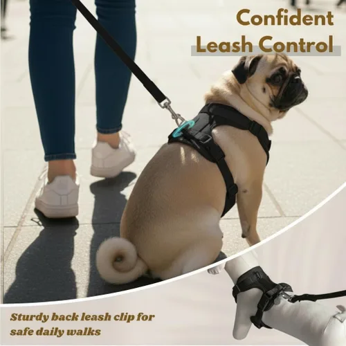 Vista 6 de Dog Harness - No Pull Adjustable Front Clip Vest with Soft Padding, 3Leash Clips, and No-Choke Oxford Design Comfort for Small, Medium, and Large