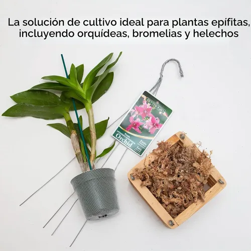 Vista 3 de Better-Gro - Cesta cuadrada de madera, 8 pulgadas Handcrafted natural wood basket with a classic, attractive square shape; provides excellent