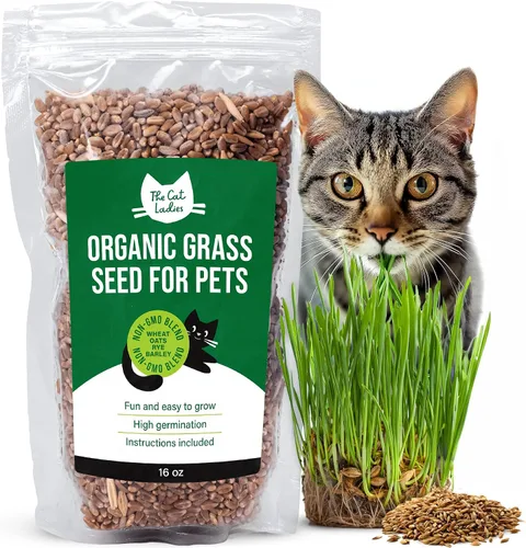 Vista 9 de Semillas de césped para gato 100% orgánicas (Sin OMG)