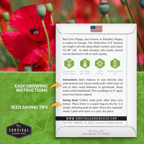 Vista 2 de Survival Garden Seeds Amapola de maíz rojo (Papaver Rhoas) 1 paquete con semillas de flores silvestres e instrucciones de plantación Cultiva