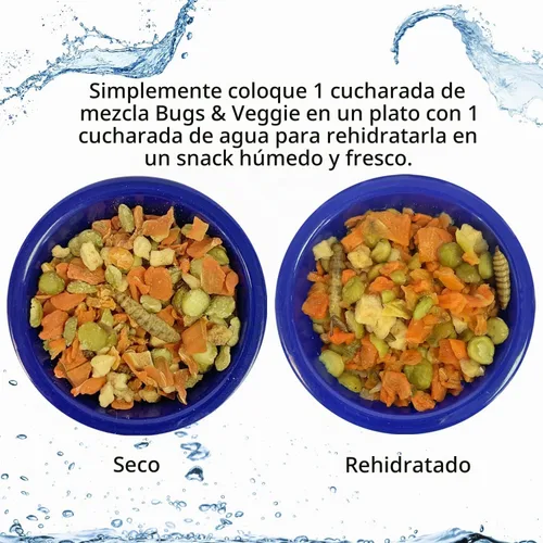 Vista 4 de Exotic Nutrition Paquete de inicio para erizos, incluye rueda de ejercicio, comida saludable, tratamiento natural, multivitaminas y escondite