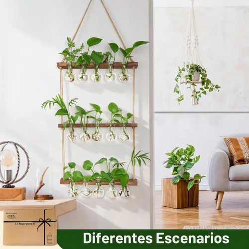 Vista 4 de XXXFLOWER Wall Hanging Propagation Station 5 Bulb Vase 3 Tiers Brown Transparente