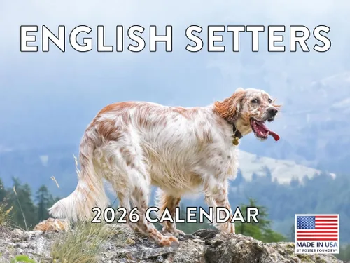 Vista 112 de Calendario mensual de pared Airedale Terrier Dog 2027 rojo (Airedale Terrier)