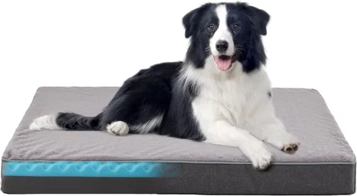 Vista 26 de WATANIYA PET Cama de Espuma Viscoelástica para Perros Medianos, Camas Refrescantes para Perros Medianos, Cama Ortopédica Lavable para Mascotas