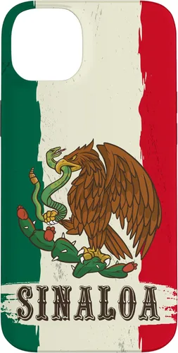 Vista 15 de Sinaloa Mexico Flag Sinaloa Case for iPhone 17
