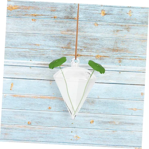 Vista 6 de ibasenice 2pcs Hanging Glass Vase Hydroponic Planter for Indoor Garden Decor Elegant Transparent Hanging for Balcony Home Decoration Creative