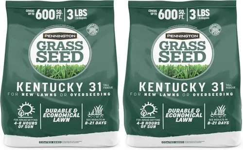 Vista 13 de Pennington Kentucky 31 Semilla de Césped Festuca Alta Penkoted 7 lb