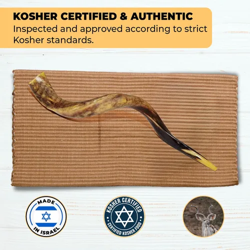 Vista 5 de YOMTOV-SHALOM Kudu Shofar a la venta Kosher de Israel Reyes Shofar Fábrica original de Shofar (13-18)