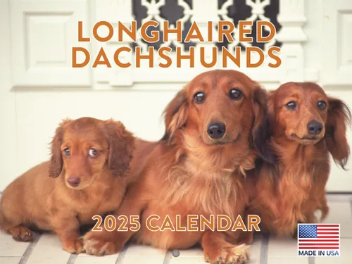 Vista 17 de Calendario mensual de pared Airedale Terrier Dog 2027