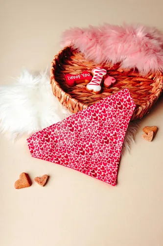 Vista 2 de Bandana de perro con corazones de San Valentín que se desliza en el tamaño de su collar existente (XS)
