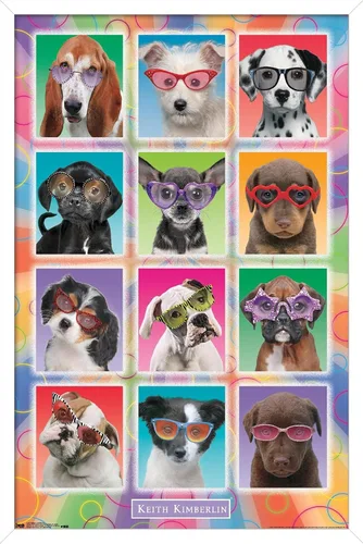 Vista 12 de Trends International Keith Kimberlin - Póster de pared con diseño de cachorros, gafas de sol, 14.725 x 22.375 pulgadas, versión enmarcada de madera