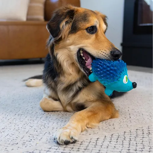 Vista 5 de Outward Hound Tootiez - Juguete de látex de erizo que gruñe para perro, tamaño grande