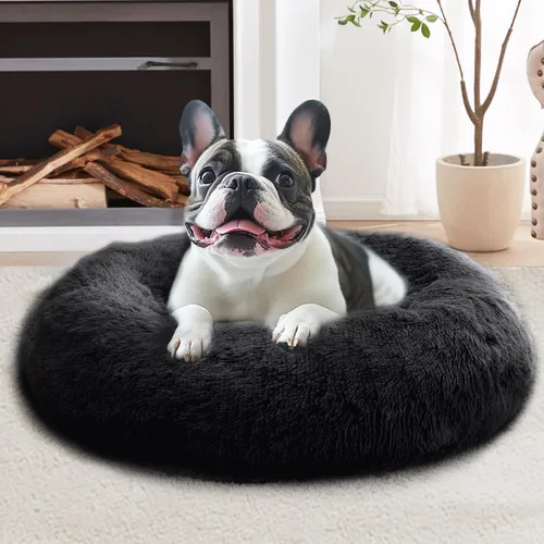Vista 71 de JOLLYVOGUE - Cama calmante para perros y gatos pequeños y medianos, antiansiedad, redonda, suave, acogedora con parte inferior antideslizante