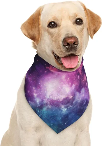 Vista 26 de Pañuelo rojo para perro con flecha de amor para el día de San Valentín, bufanda triangular, baberos, accesorios para mascotas, pañuelo para gatos