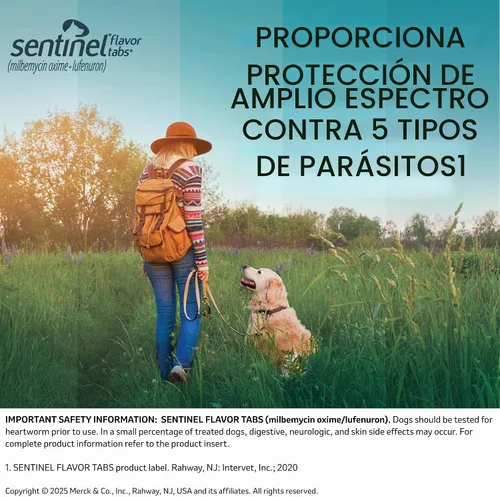 Vista 6 de Pastillas con sabor Sentinel para perros, 23-45 kg, 6 tabletas masticables, suministro de 6 meses, Caja blanca