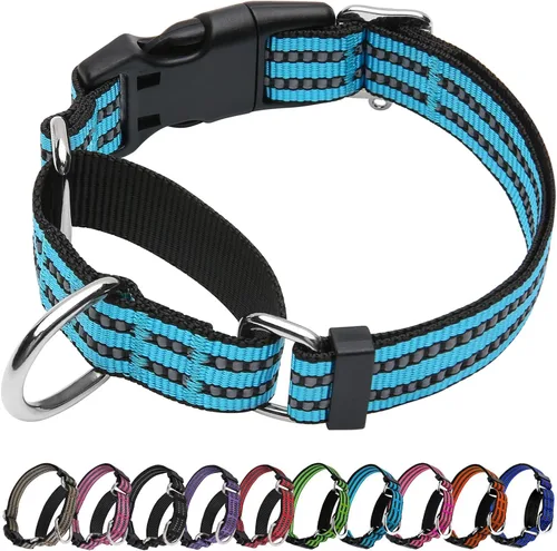 Vista 8 de Martingale - Collar reflectante de nailon ajustable con hebilla de liberación rápida, collares de entrenamiento para perros pequeños, medianos