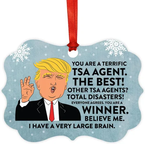 Vista 130 de Andaz Press Presidente Donald Trump Fancy Frame Recuerdo Adorno de Navidad Regalo de broma, excelente contador, 1 paquete, divertidas ideas
