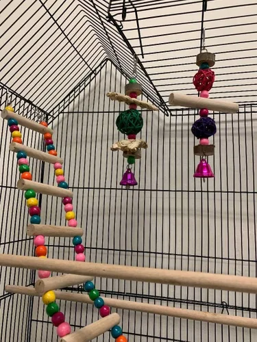 Vista 6 de Jaula portátil para pájaros de vuelo mediano colgante de 37 pulgadas para cacatúa, sol, quáquero, periquero, mejilla verde, loro, pinzón, canario