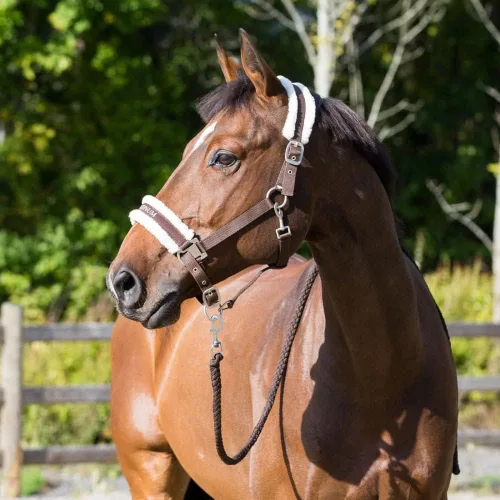 Vista 14 de HORZE Howard Forro Polar Suave Acolchado Ajustable de Poliéster Cabestro de Caballo - Negro - Caballo