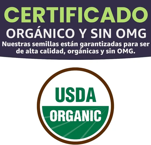 Vista 4 de Paquete variado de semillas orgánicas de verano, 12 paquetes individuales, temporada 2026, albahaca, tomate, pepino, sandía y mucho más para plantar