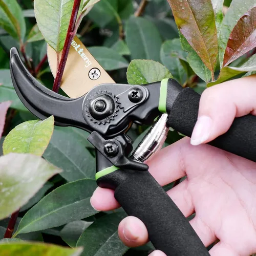 Vista 5 de Tijeras de podar de titanio de alta calidad, tijeras de jardín ultra afiladas resistentes, podadoras manuales profesionales, podadoras de árboles