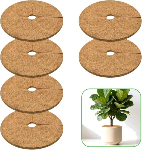 Vista 9 de ZeeDix Pack de 10 anillos de mantillo de fibra de coco, anillo de mantillo de coco coir de 6 pulgadas, protector de árbol 100% natural, anillo