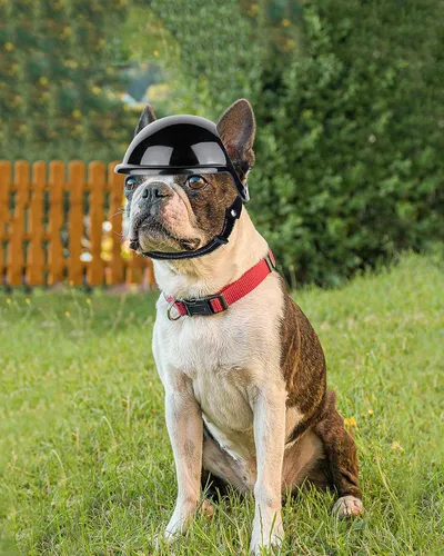 Vista 3 de NAMSAN Paquete de casco y gafas para perro, negro, grande, protección UV, ventilado, cierre de hebilla