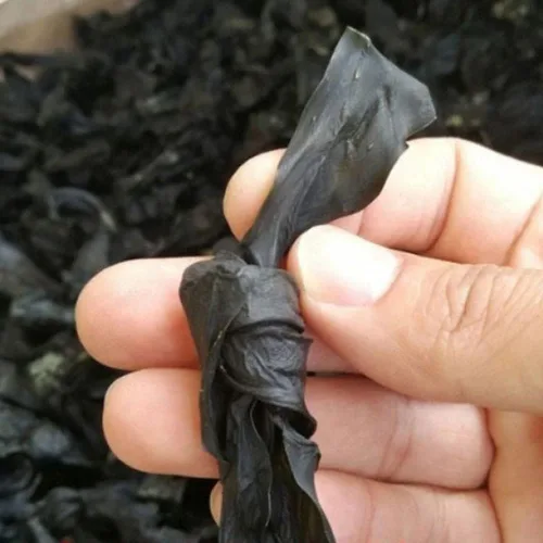 Vista 2 de Algas Seco,Algas Seco,Algas Seco,Algas Seco,Algas Seco Cocidas,algas Secas,Ganhaidai,Laminaria Japonica Seca,Laminaria Seca Japonica (8.82 oz)