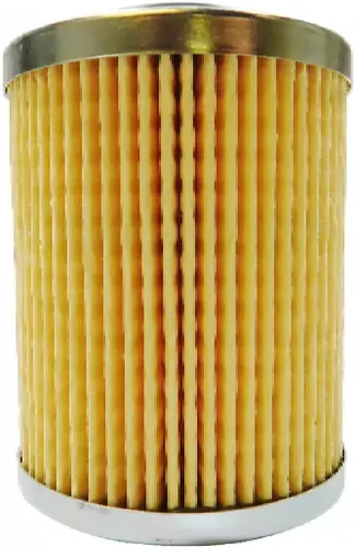 Vista 3 de Can-Am Nuevo OEM, filtro de aceite, paquete de 2, 420256188