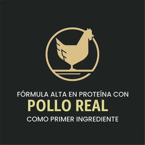 Vista 6 de Purina Pro Plan Comida para perros mayores con probióticos para perros, fórmula Bright Mind 7+ de pollo y arroz, bolsa de 16 libras