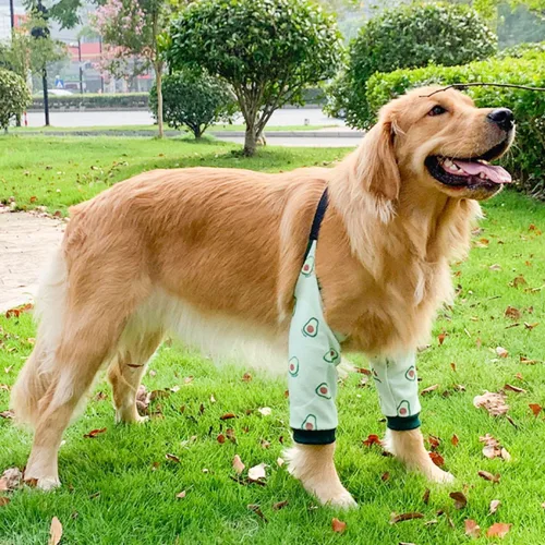 Vista 2 de Protector de codo para perro, coderas gruesas con almohadilla de malla para perros medianos y grandes, para invierno y otoño, evita lamer heridas