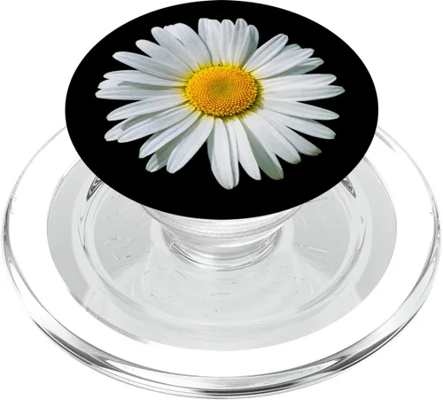 Vista 8 de White Gerbera Daisy Flower PopSockets PopSockets de fondo negro intercambiable PopGrip