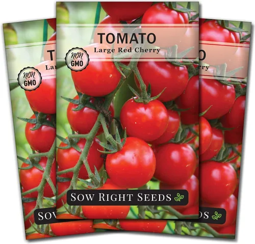 Vista 8 de Sow Right Seeds - Semillas grandes de tomate cereza roja para plantar - Paquete de reliquia sin OMG con instrucciones para plantar un huerto casero