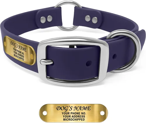 Vista 11 de Regal Dog Products Collar de Perro Naranja Mediano con Placa de Nombre Grabada Personalizada - Ajuste Personalizado, Resistente, Fácil de Limpiar