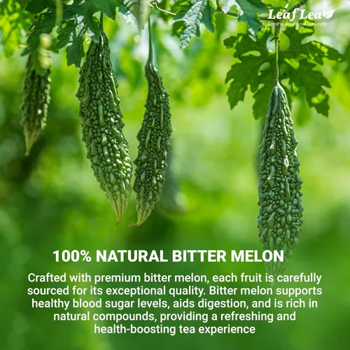 Vista 3 de LeafLea Bolsas de té de melón amargo natural, 40 bolsas de té de hierbas Cundeamor - Té de frutas Melon Amargo Gohyah Apoyo para el bienestar