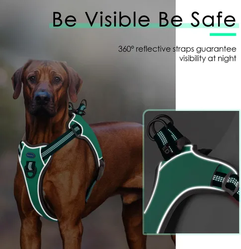 Vista 6 de ThinkPet Arnés sin tirones, a prueba de escape, chaleco reflectante para perro, ajustable, transpirable, arnés halter con clip trasero/frontal
