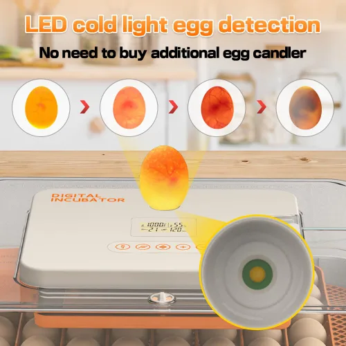 Vista 5 de HOWOOlUA - Incubadora de 56 huevos para incubar huevos con giro automático, control de temperatura y humedad, incubadora integrada de huevos de gran
