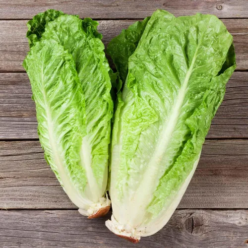 Vista 2 de Eden Brothers Semillas de lechuga (orgánicas) - Buttercrunch